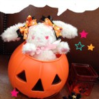 BABY広島店 ★HAPPY HALLOWEEN★～ドキドキ！くじ引きフェア～