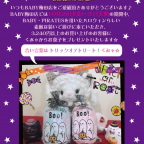 BABY梅田店 くみゃちゃんにトリックオアトリート☆ 開催決定！
