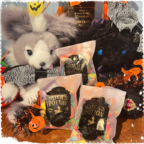 BABY金沢店Halloweenスナップイベント開催のお知らせ