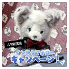 ALICE and the PIRATES新宿店「SHOP Instagramフォロー＆フォロワーキャンペーン」開催のお知らせ