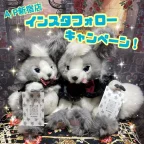 ALICE and the PIRATES新宿店「夏休みだよ☆彡Instagramフォロー・フォロワーキャンペーン☆」開催のお知らせ